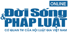 Công ty Luật FDVN